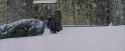 PF-Potterish_07286.jpg