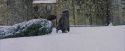 PF-Potterish_07287.jpg