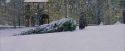 PF-Potterish_07292.jpg