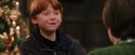 PF-Potterish_07346.jpg