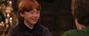 PF-Potterish_07355.jpg
