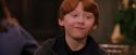 PF-Potterish_07358.jpg