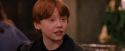 PF-Potterish_07363.jpg