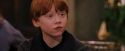 PF-Potterish_07370.jpg
