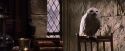 PF-Potterish_07406.jpg