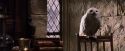 PF-Potterish_07407.jpg