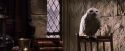 PF-Potterish_07408.jpg
