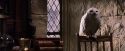 PF-Potterish_07409.jpg