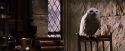 PF-Potterish_07410.jpg