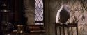 PF-Potterish_07411.jpg
