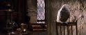 PF-Potterish_07412.jpg