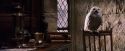 PF-Potterish_07413.jpg