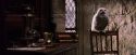 PF-Potterish_07415.jpg