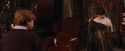 PF-Potterish_07514.jpg