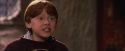 PF-Potterish_07536.jpg