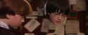 PF-Potterish_07554.jpg