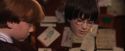 PF-Potterish_07555.jpg