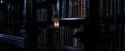 PF-Potterish_07602.jpg