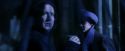 PF-Potterish_07764.jpg
