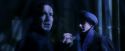 PF-Potterish_07765.jpg