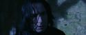 PF-Potterish_07785.jpg