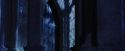 PF-Potterish_07827.jpg