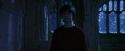 PF-Potterish_07883.jpg