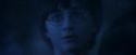 PF-Potterish_07936.jpg