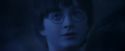 PF-Potterish_07946.jpg