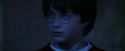 PF-Potterish_08062.jpg
