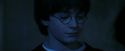 PF-Potterish_08074.jpg