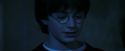 PF-Potterish_08076.jpg