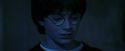 PF-Potterish_08077.jpg