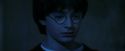 PF-Potterish_08081.jpg