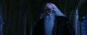 PF-Potterish_08140.jpg