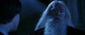 PF-Potterish_08165.jpg