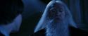 PF-Potterish_08166.jpg