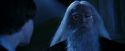 PF-Potterish_08168.jpg