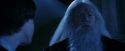 PF-Potterish_08176.jpg