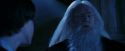 PF-Potterish_08177.jpg