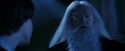 PF-Potterish_08178.jpg