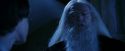PF-Potterish_08180.jpg