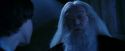 PF-Potterish_08183.jpg