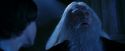 PF-Potterish_08201.jpg