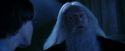 PF-Potterish_08205.jpg