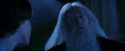 PF-Potterish_08206.jpg