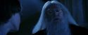PF-Potterish_08211.jpg