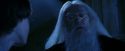 PF-Potterish_08212.jpg