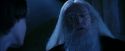 PF-Potterish_08215.jpg