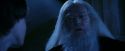 PF-Potterish_08216.jpg